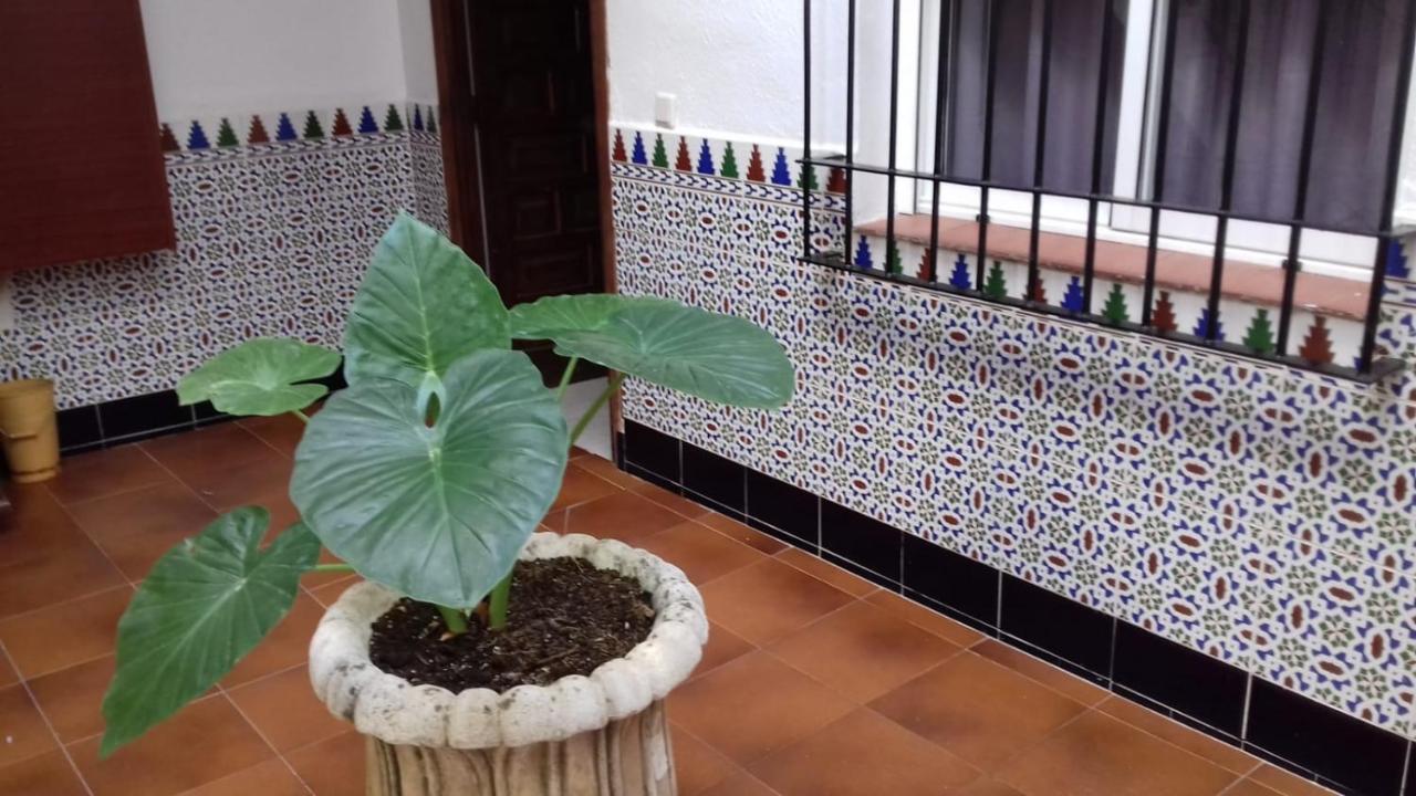 شقة Patio Pompeyos قرطبة المظهر الخارجي الصورة
